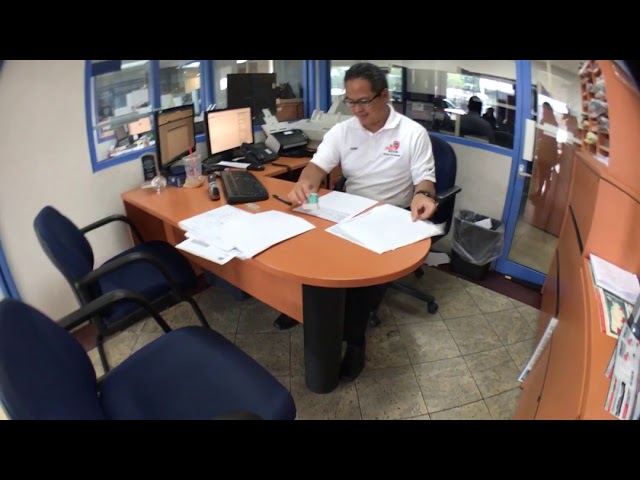 The Real Deal: Behind the Scenes at the Dealership