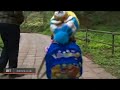 China: Dog walks on hind legs dressed as a schoolgirl