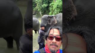 Tangkahan, September 2022