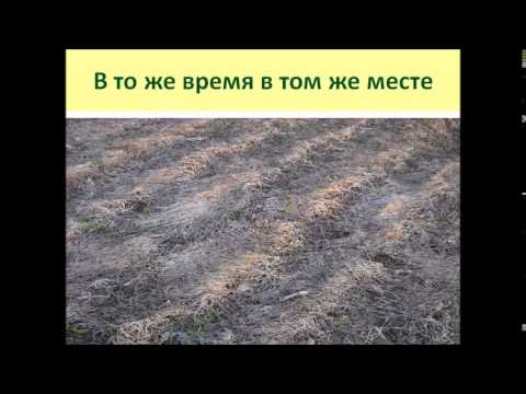 Николай Курдюмов «Умный огород в деталях» Грядки по Курдюмову своими руками: делаем "умный" огород