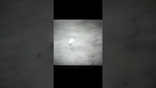-zW5xMHpbYo Video Image