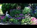 My Low Maintenance Flower Garden