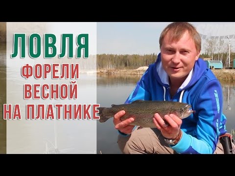 как ловить на платниках как ловить на платниках
