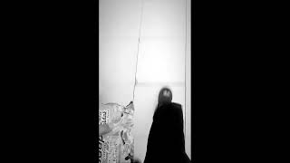 Tugas Informatika Anisa Wulandari X-Pplg 1. Happy For Watching