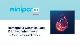 Hemophilia Genetics Lab X-Linked Inheritance Webinar