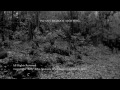 Baby Bigfoot Sighting Spokane Washington October 2013 Infant Bigfoot? New FOOTAGE!