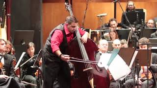 Gjorgji Cincievski plays The Transience of life by Simón García