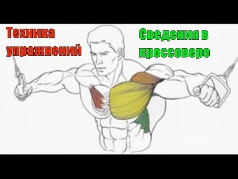 Кроссовер на верхнем блоке своими руками Кроссовер на верхнем блоке своими руками