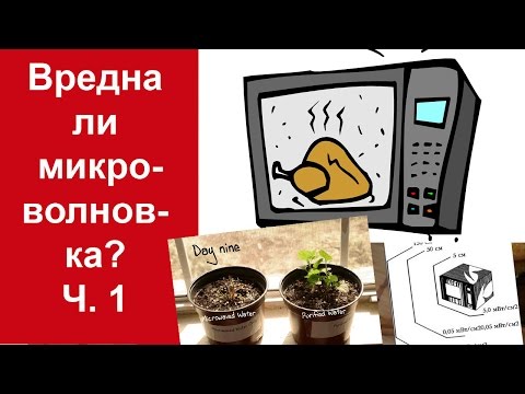 Прикольные загадки для застолья с ответами. Советы по организации Поздравления сыну от папы с Днем Рождения