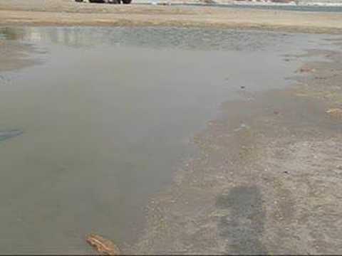 Oil-on-Water Calming Effect