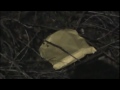 Manhattan KS video: Manhattan, KS. part one