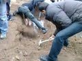 image Jenazah Dua Orang Mujahidin Syria Berbau Harum Bila Digali Semula Walaupun Sudah Lama Ditanam