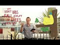 Why don't birds fall out of trees when asleep? - Greg Foot Answers (Ep 10) - Head Squeeze