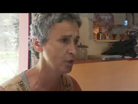 Toutes les vidéos