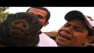 Watch Banda El Rey El Cochi video