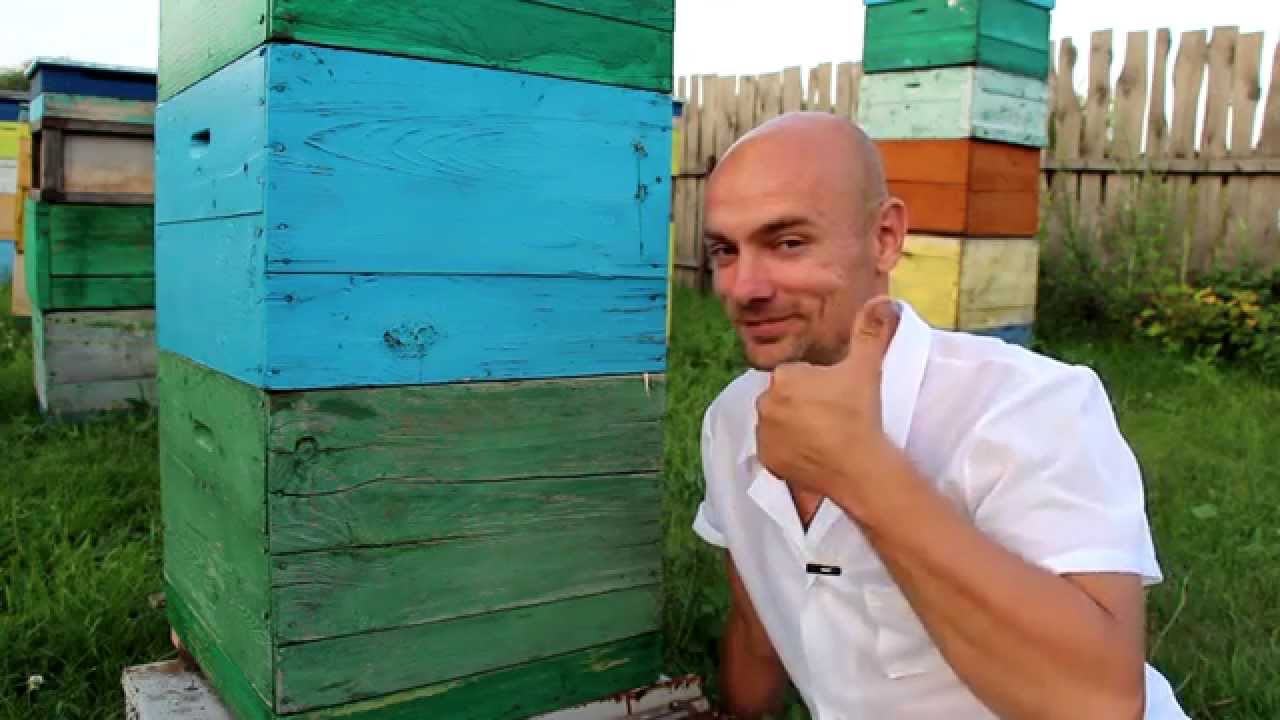 Пчеловодство видео новые записи 2018 михалев алексей Отзывы - Медоцвет: Михалев Алексей Вячеславович:Купить мед