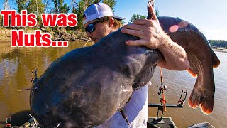 The Snag Started Swimming...absolute Giant Blue Catfish River Jigging