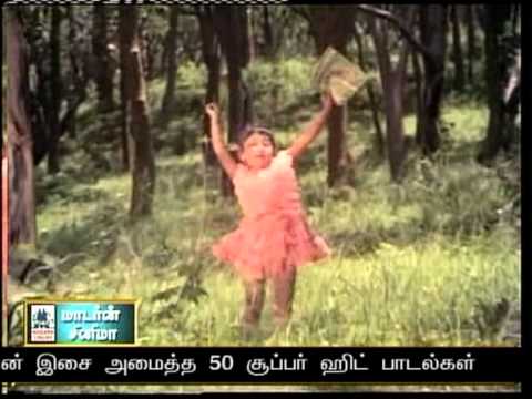 THIKKU THERYAATHA KAATIL --POO POOVA PARANTHU POGUM ---