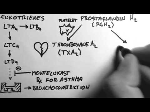 Steroid hormone synthesis mnemonic