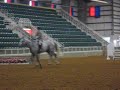 Show at Bob Martin Ag Center in 2008