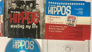 Watch Hippos Our Lips Are Sealed video