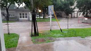 Elorza y Velez Sarfield 02-12-2020