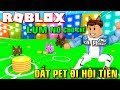 #KiAPhạm Roblox | KIA DẮT ĐÁM THÚ CƯNG ĐI "HÔI" TIỀN VÀNG - 🐾 Pet Simulator | KiA Phạm