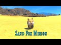 FFXIV: Sand Fox Minion!
