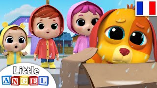 Bingo Le Chien - Comptines Pour Bébé Little Angel Français