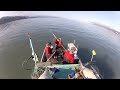 Commercial Halibut 2012