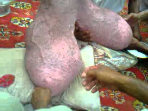 wolds biggest ass mature women stroking cock