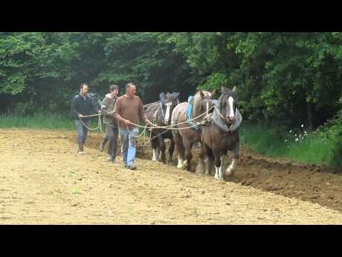 rencontre dol de bretagne
