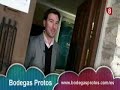 Los secretos de Bodegas Protos