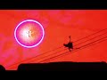 image Madagascar 3 Firework Hd