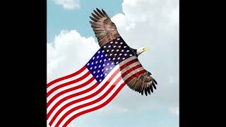 One Hour Of American Anthem With Eagle Screeches And Gunshots Ultimate Patriotic Meme Experience