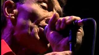Watch Tubes Haloes video
