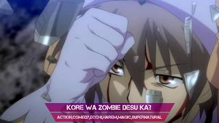 Top 10 Harem Anime With NOT A PUS#Y Male Lead