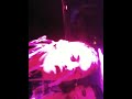 Swedish House Mafia @ Pacha (Ibiza) - Opening Part