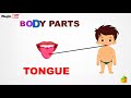 Body Parts Intro - Body Parts - Pre School - Learn Spelling