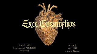 Execcosmoflips. From Ar Tonelico Iii Re-Arrangement Version Cover Kokia
