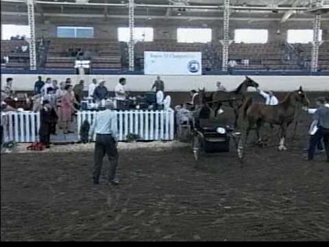 Country Pleasure Driving Class Gone Wrong!