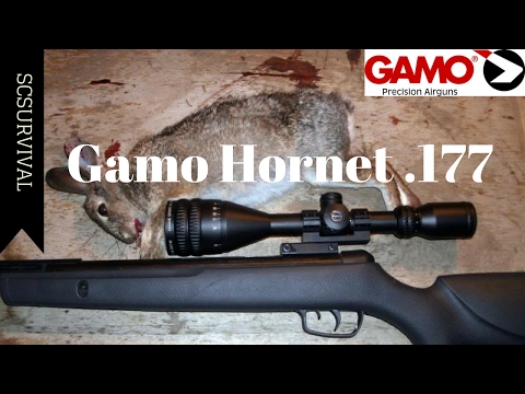 Gamo Hornet .177 Caliber Air Rifle