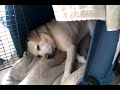 Anime44 動画25c