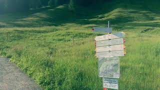 Kanis Alpe, Bregenzerwald, Mellau