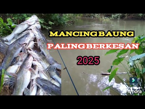 Mancing ikan baung paling berkesan, #mancing #ikan #mamcingliar #angler #baungbabon #fishing