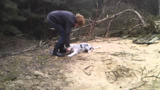 Puppies Bos, Lig Oefening Zoey