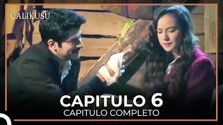 Calikusu Capitulo 6