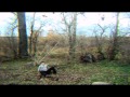 Sony_Art-Trailer