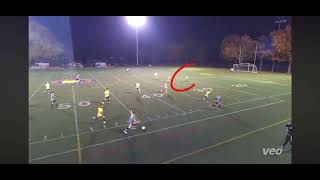 05O6coot_Ak Video Image