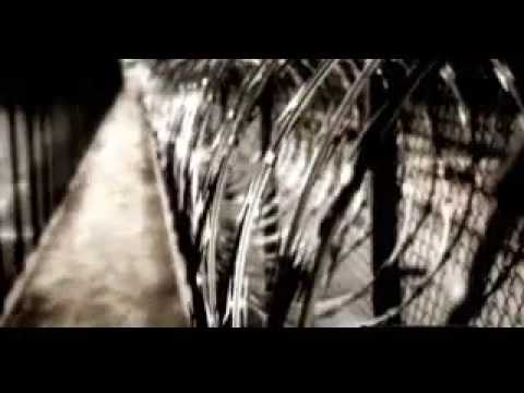 Justin Timberlake Dead on Ti Ft Justin Timberlake Dead And Gone Official Music Video